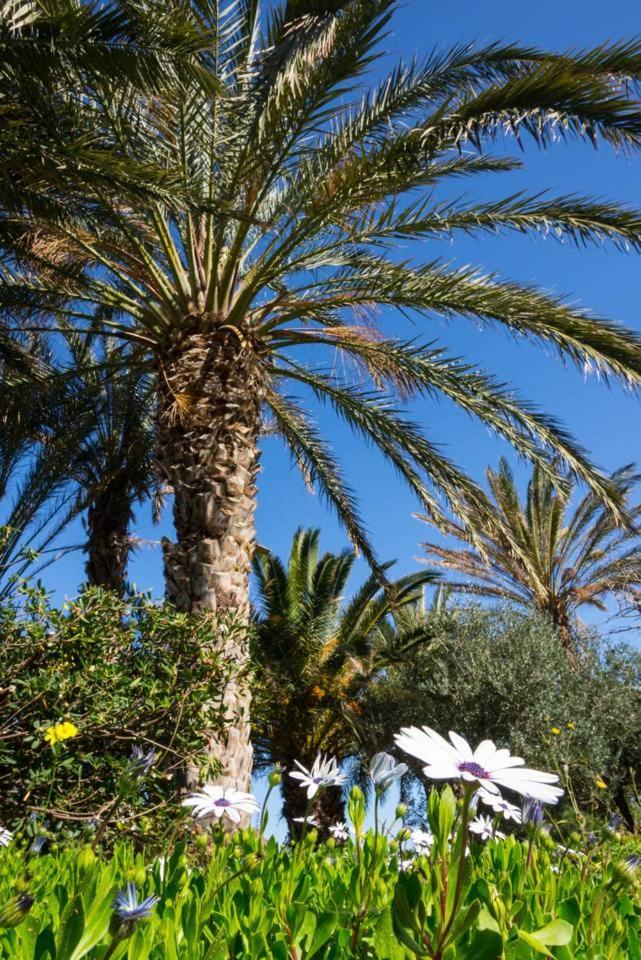 Authentic Cretan Stone Windmill Villa Sitia  Buitenkant foto